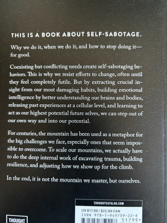 Brianna Wiest - The Mountain is You image 1