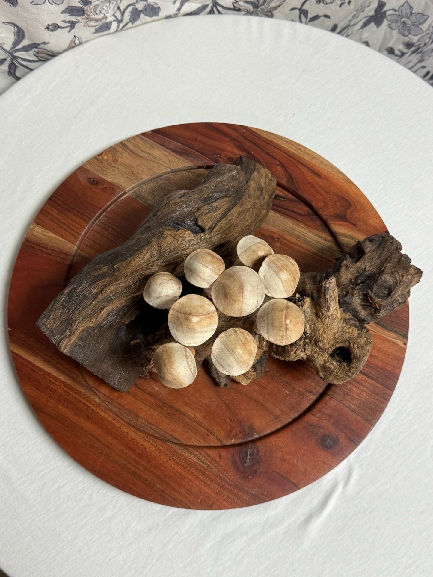 Mushrooms on Driftwood image 2