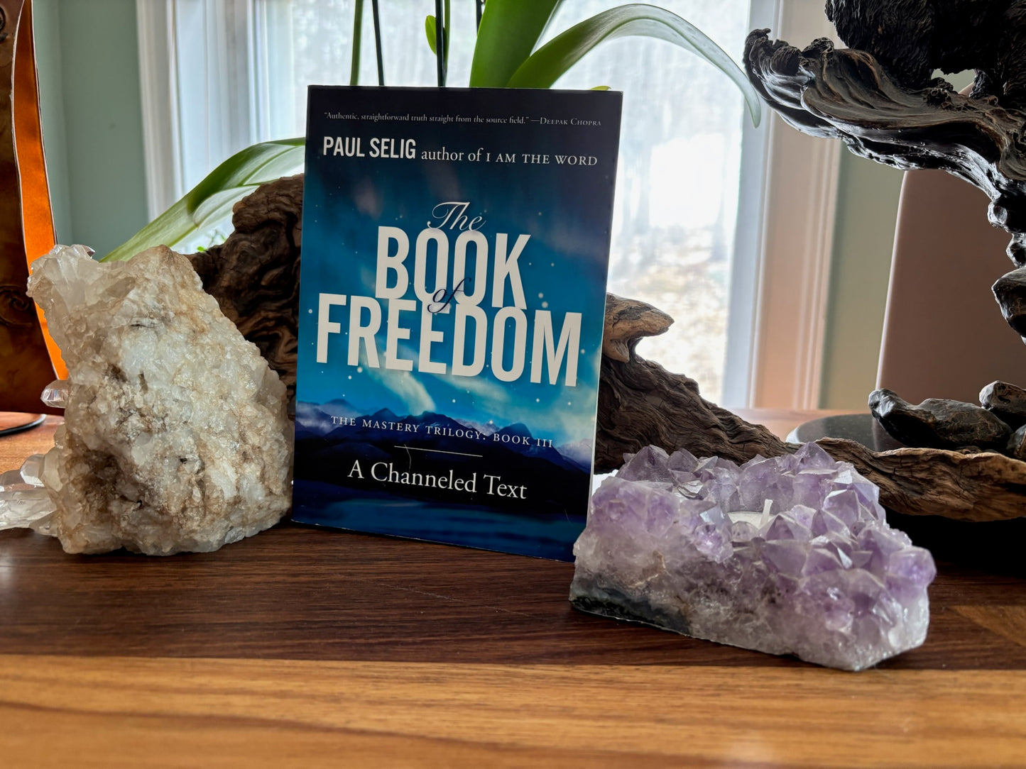 Peter Selig The Book of Freedom image 0