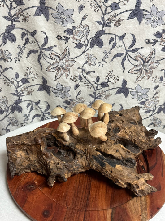Mushrooms on Driftwood image 0