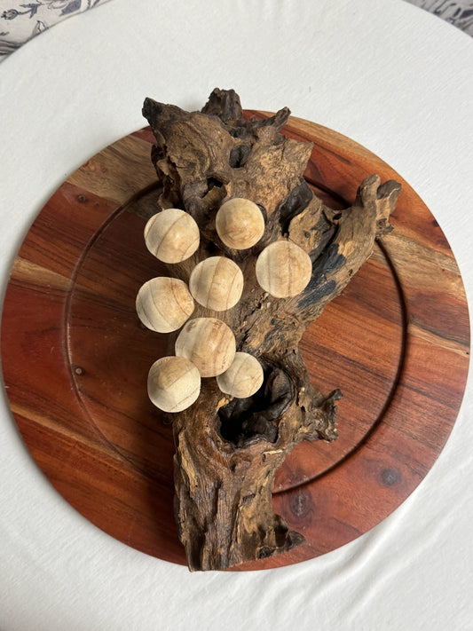 Mushrooms on Driftwood image 1