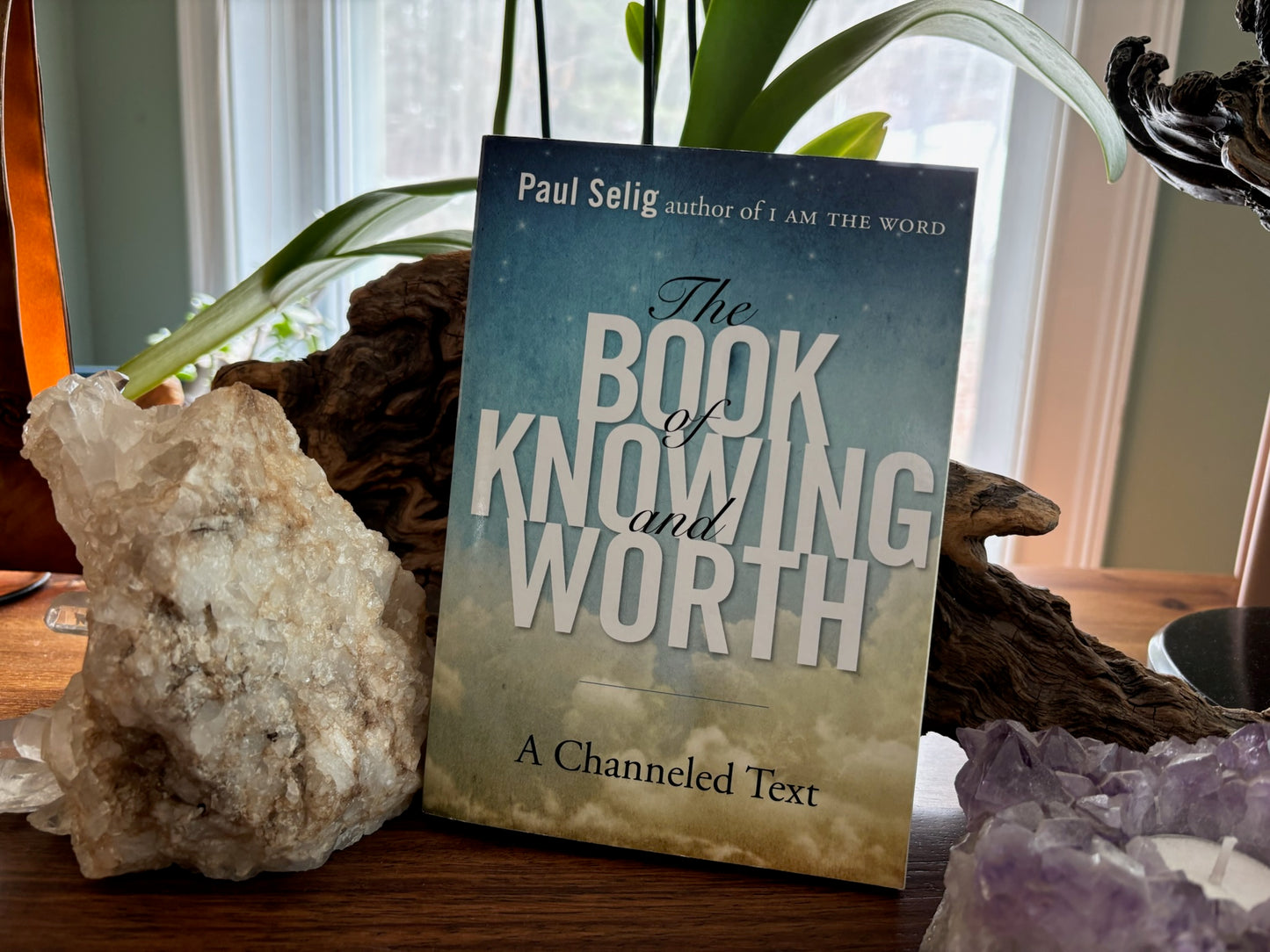 Paul Selig The Book of Knowing and Worth image 0