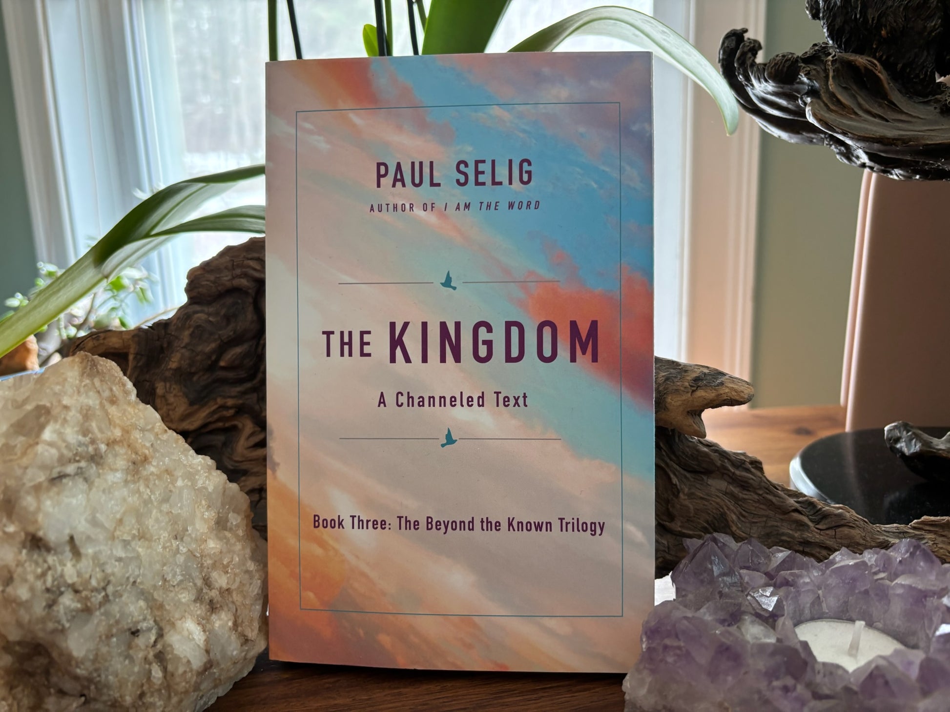Paul Selig The Kingdom image 0