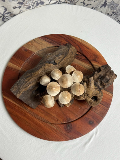 Mushrooms on Driftwood image 2