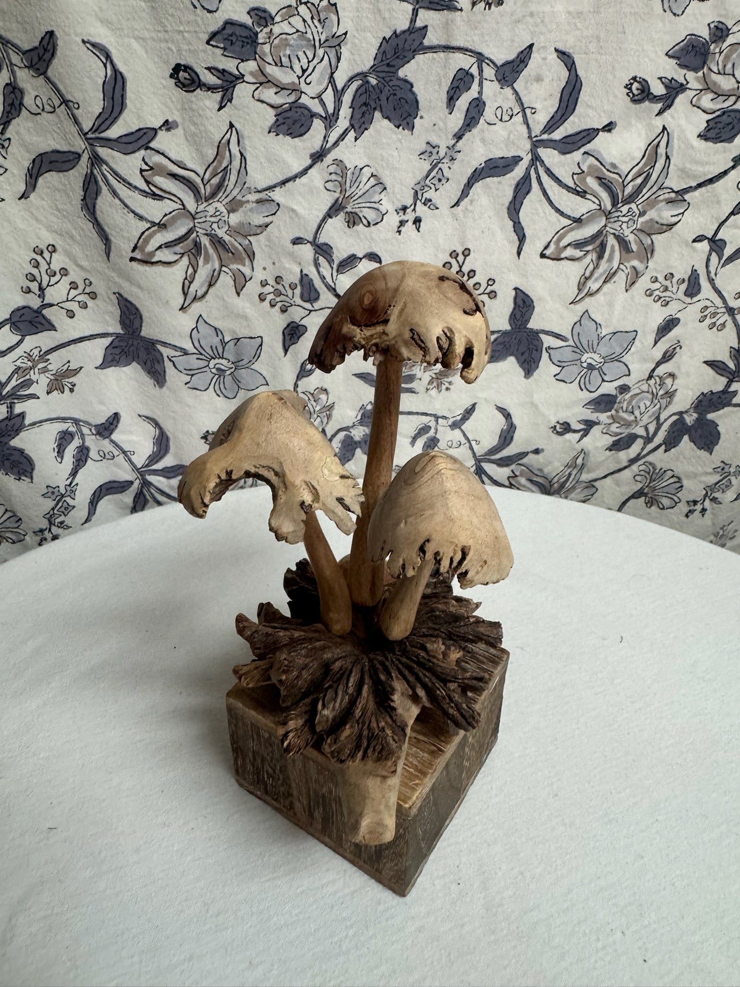 Mushrooms image 0