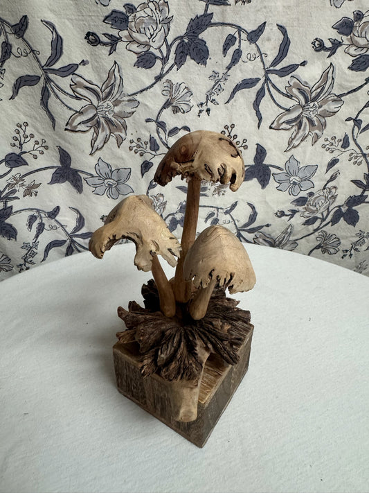 Mushrooms image 0