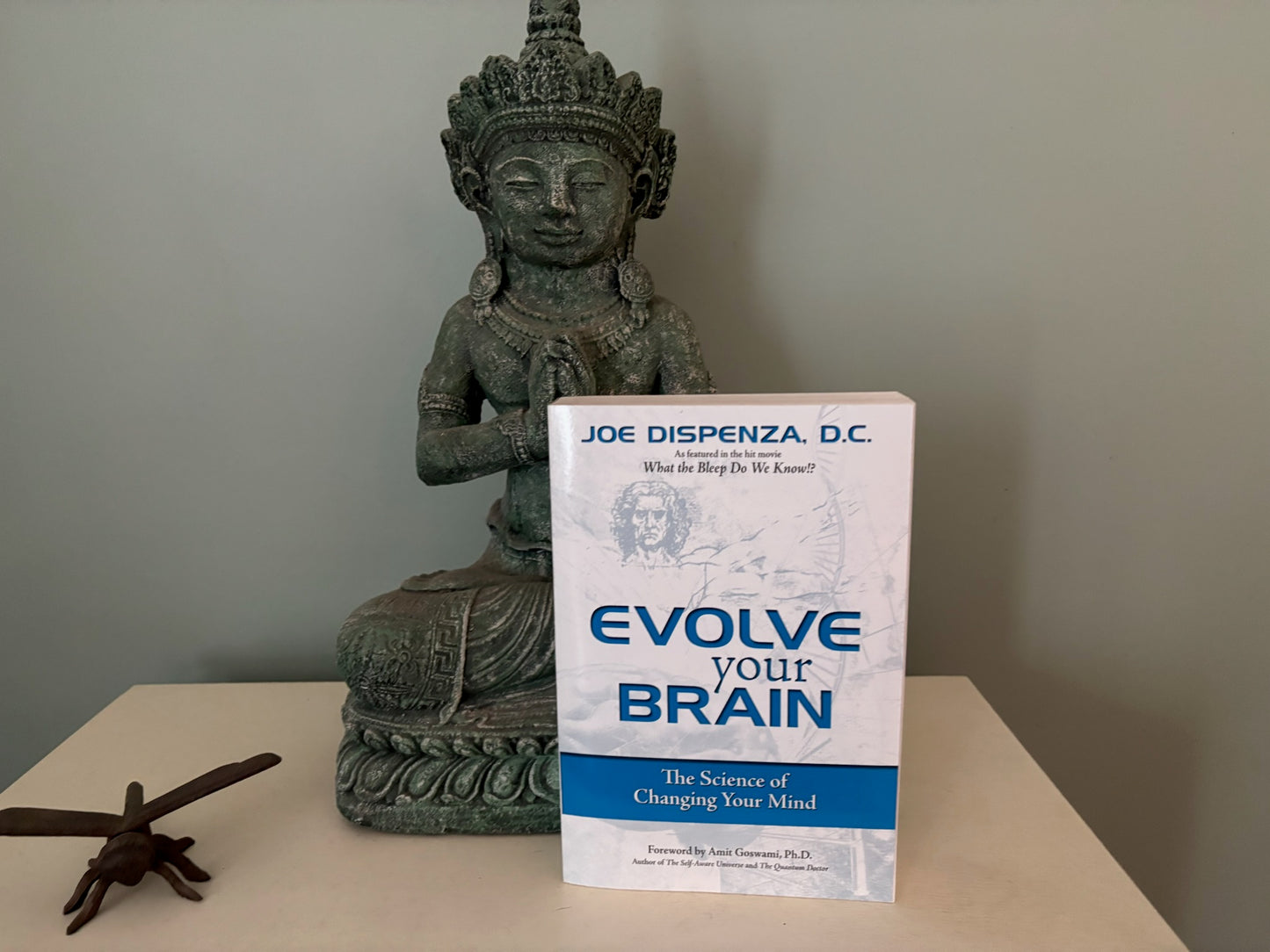 Joe Dispenza - Evolve the Brain image 0