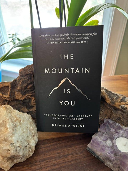 Brianna Wiest - The Mountain is You image 0