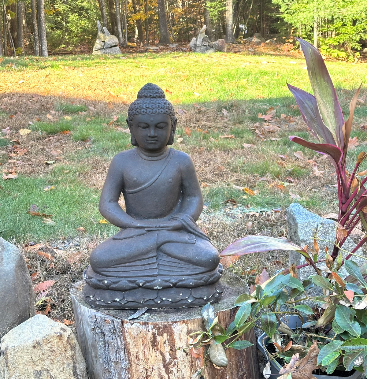 Mindful Living