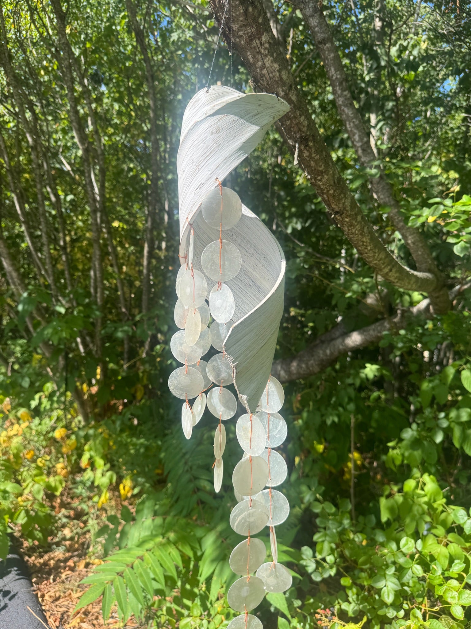 Wind Chime image 1