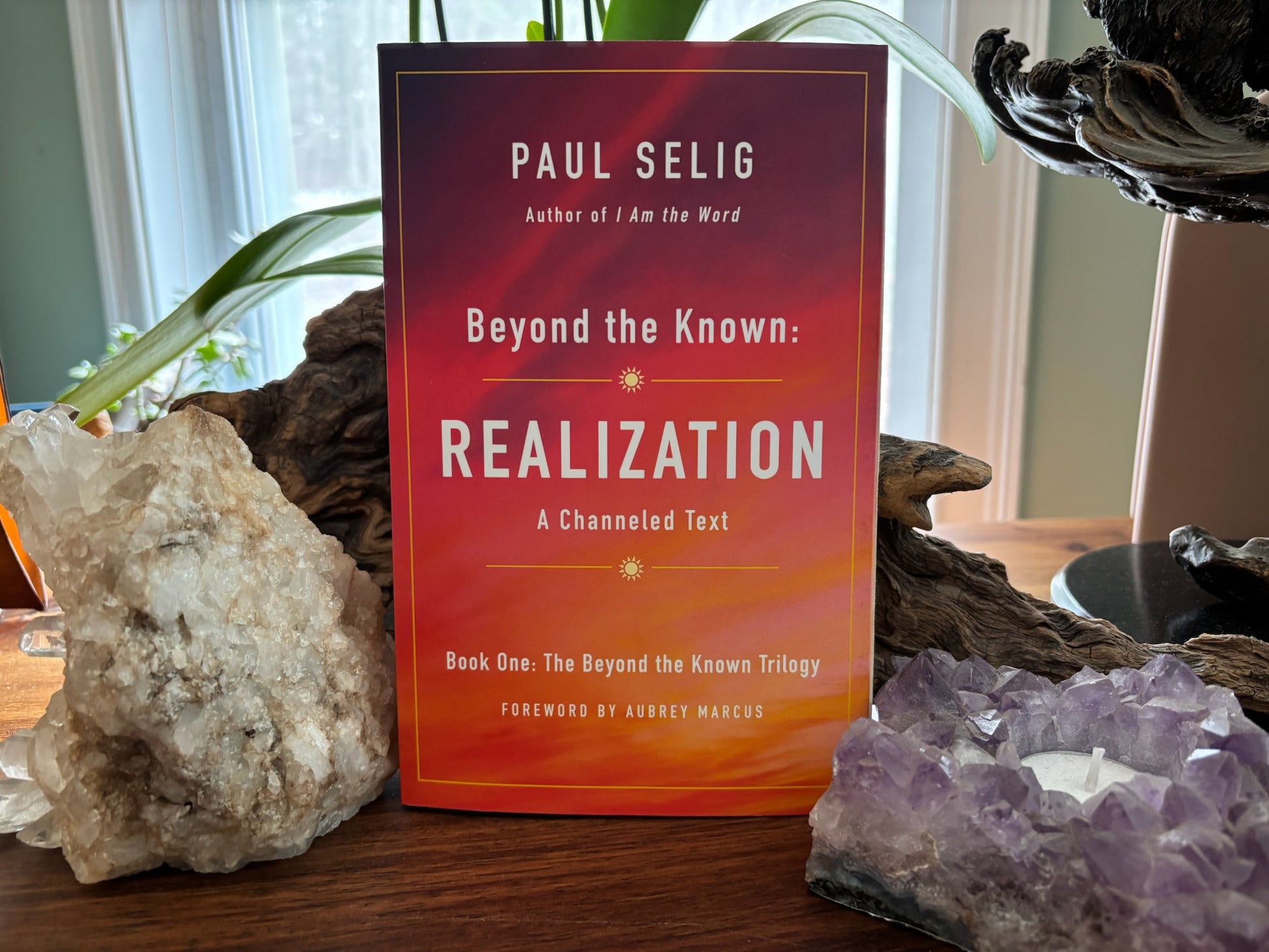 Paul Selig - Realization A Channeled Text image 0