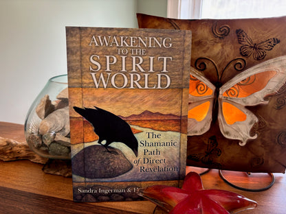 Ingerman & Wesselman Awakening to the Spirit World image 0