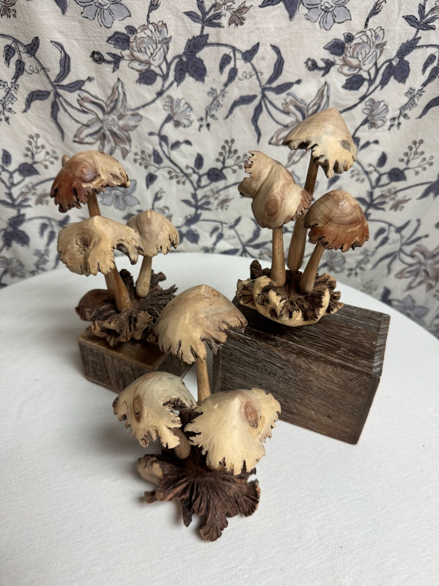 Mushrooms image 1
