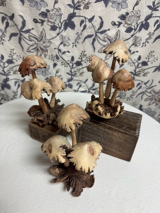 Mushrooms image 1