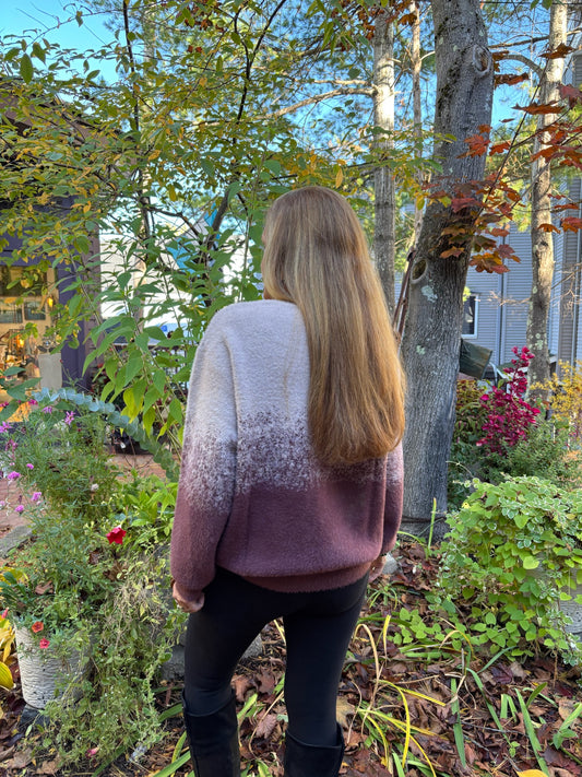 Blu Ivy Fuzzy Ombre Knit Sweater image 1