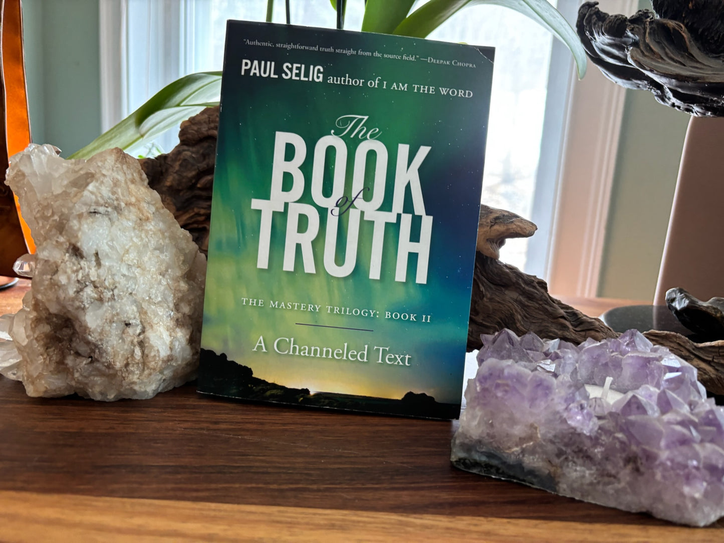 Paul Selig The Book of Truth image 0